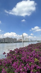 36687576-A1AE-48B6-B0E7-247C83B7D468/L0/001