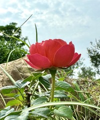 001