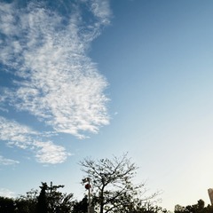07764A70-ED54-49C6-9678-F946C49DD321/L0/001