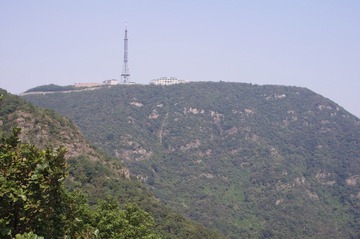 IMGP7983-2.JPG