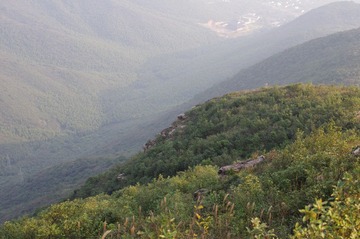 IMGP8012.JPG