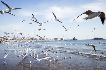 BB4E935A-841A-4614-936B-8E66DE35729F/L0/001
