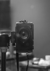 L1002726.jpg