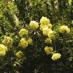 02A3766B-5081-4AB4-AF5A-03D128796E60/L0/001