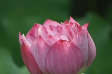 DSC05477 - 副本.JPG