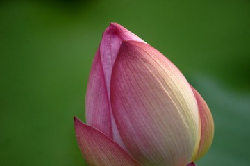 DSC05472 - 副本.JPG