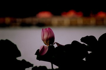 DSC05463 - 副本.JPG