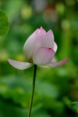 DSC05429.JPG