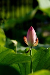 DSC05428.JPG