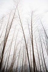 05F92900-C14D-4ABF-BA21-11F4FD847316/L0/001