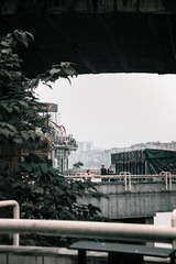 0FC812BD-E411-44ED-B803-408C0C7C2C9C/L0/001