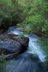 IMGP9753.jpg