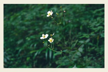E336159C-A2DE-48D4-82CE-3BEDFF62C747/L0/001