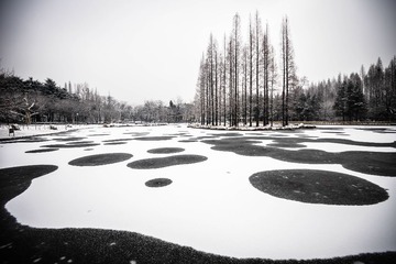 DSC_0480.jpg