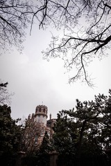 DSC_0536.jpg