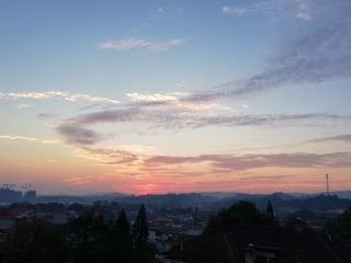 2934976