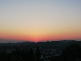 2921526