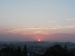 2952772