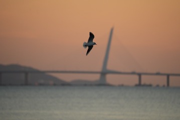 06270999-36DC-48C5-B55B-5F92F05B7ADE/L0/001
