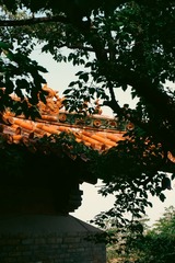 286481