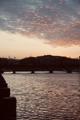 9D49FC97-8255-45CA-B37B-11CE1152F1A4/L0/001