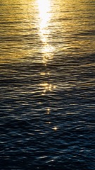 C9C32F1B-A234-471C-85D4-7644441F7159/L0/001