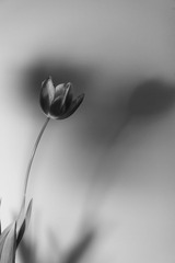 IMG_5311.JPG
