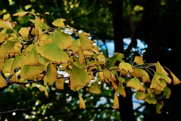D2170F3D-C1EC-4AFF-AF74-52D986730C9A/L0/001