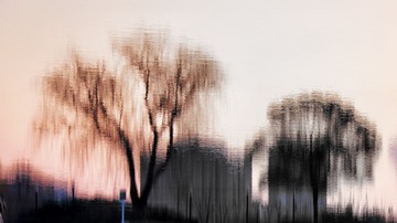 C55B2CEA-B3B2-4673-941F-D720DD40A32C/L0/001