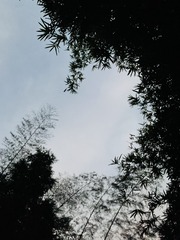E3F21F60-570A-41FF-A8A5-D8F4652C46E2/L0/001