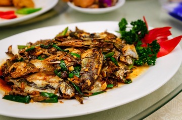 DSC09336-10