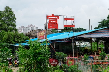 DSC00350-1