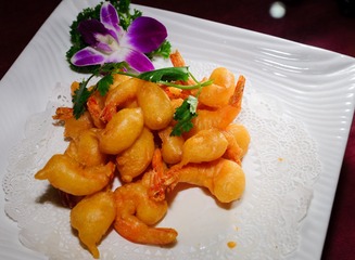 DSC01091-20