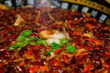 DSC02776-16