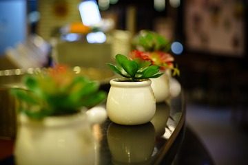 DSC03330-6