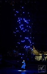 DSC05972-25