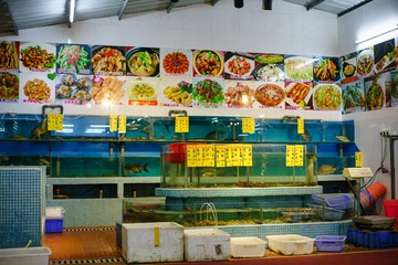 DSC08460-2