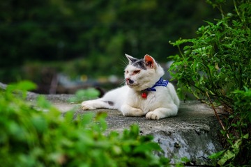 DSC02617-529