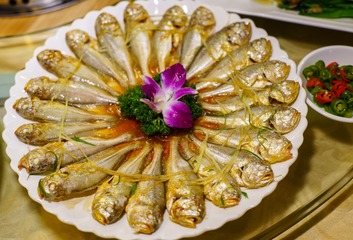 DSC02656-28