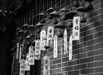 DSC09165-11.jpg