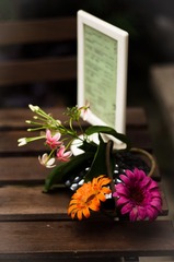 DSC09186-14.jpg