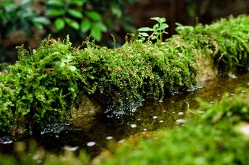 DSC09144-10.jpg