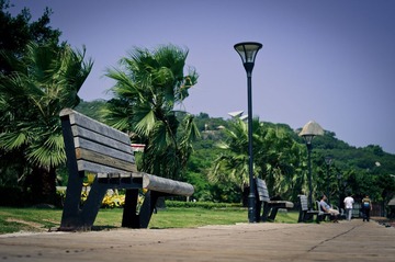 DSC00371-1.jpg