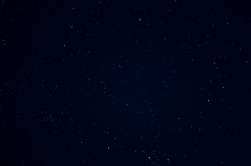 DSC01784-37