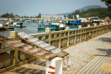 DSC01731-12