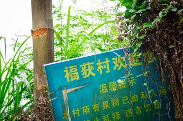 DSC04310-12