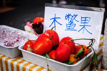 DSC05452-19