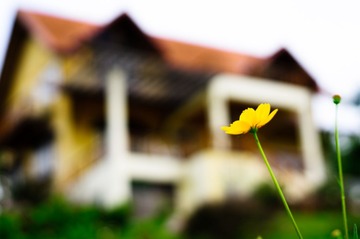 DSC06429-137