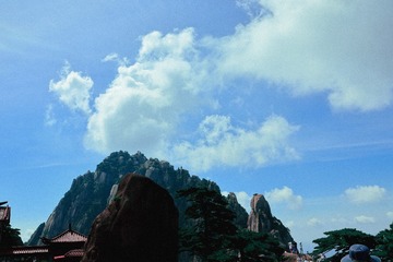 20220813095019_IMG_0137