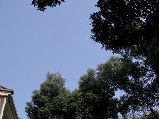 11AC7339-5BC5-4E5A-83A9-487832B2CCF1/L0/001